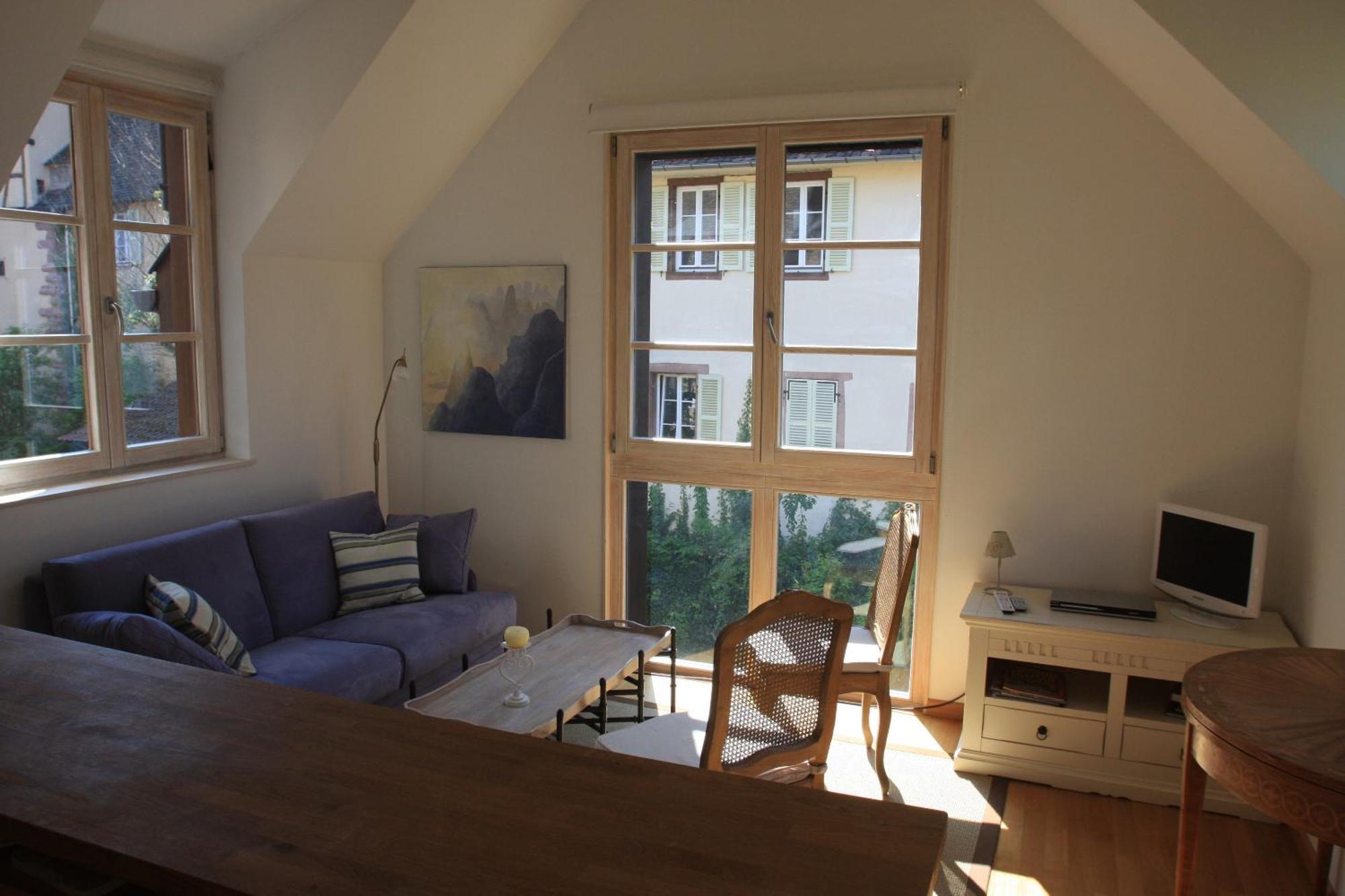 Petite Venise Apartment Colmar Luaran gambar