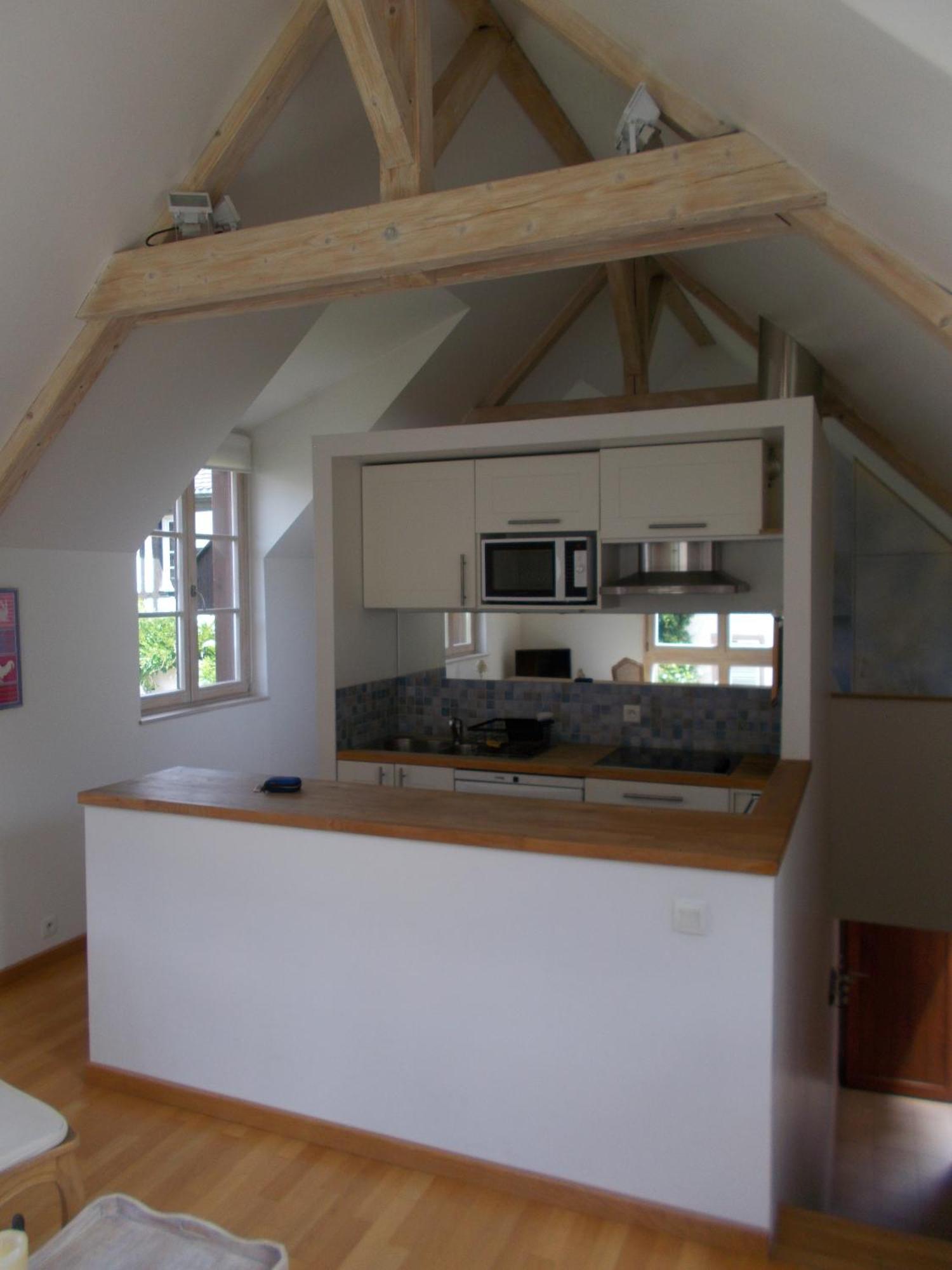 Petite Venise Apartment Colmar Luaran gambar