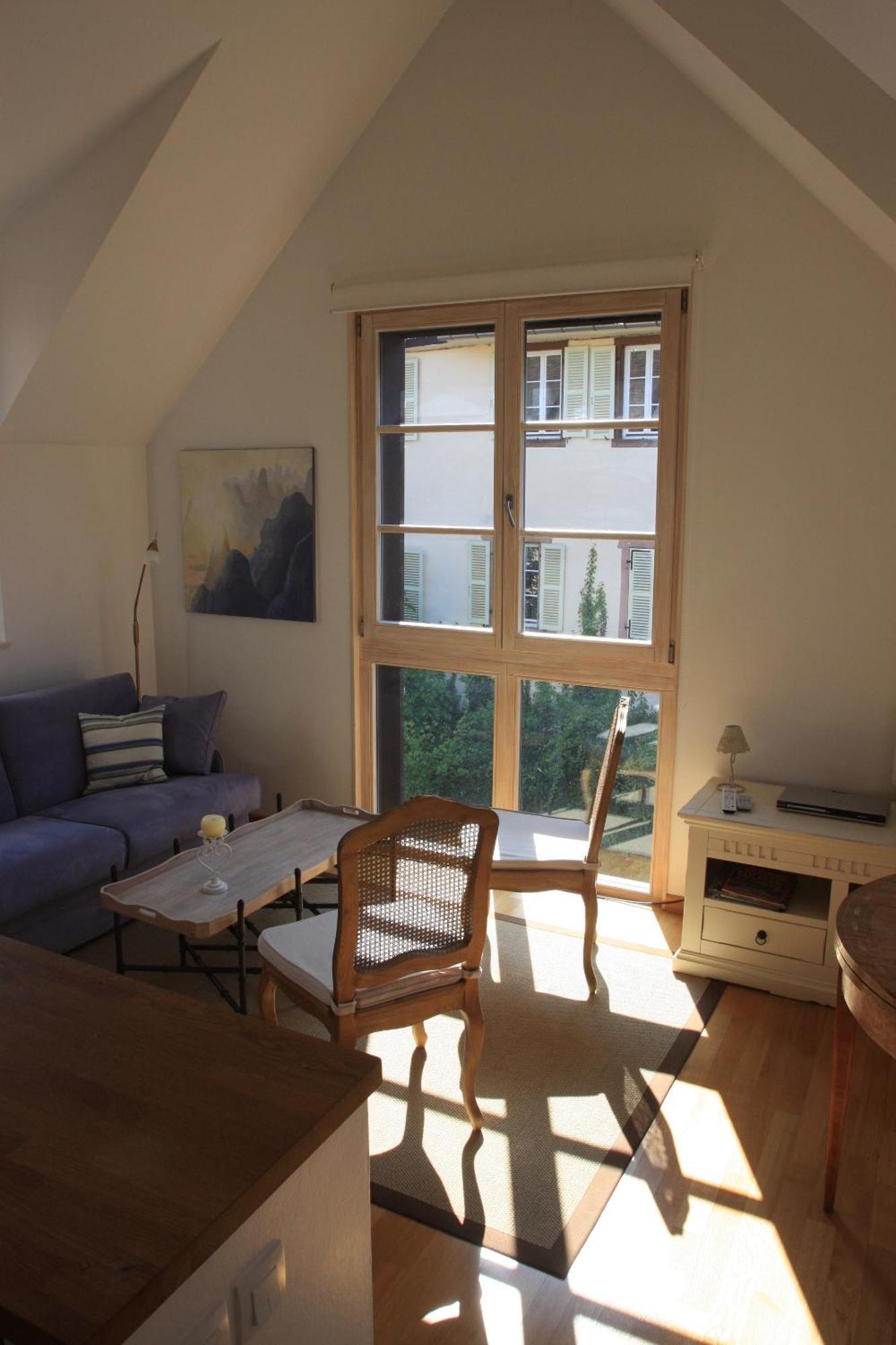 Petite Venise Apartment Colmar Luaran gambar
